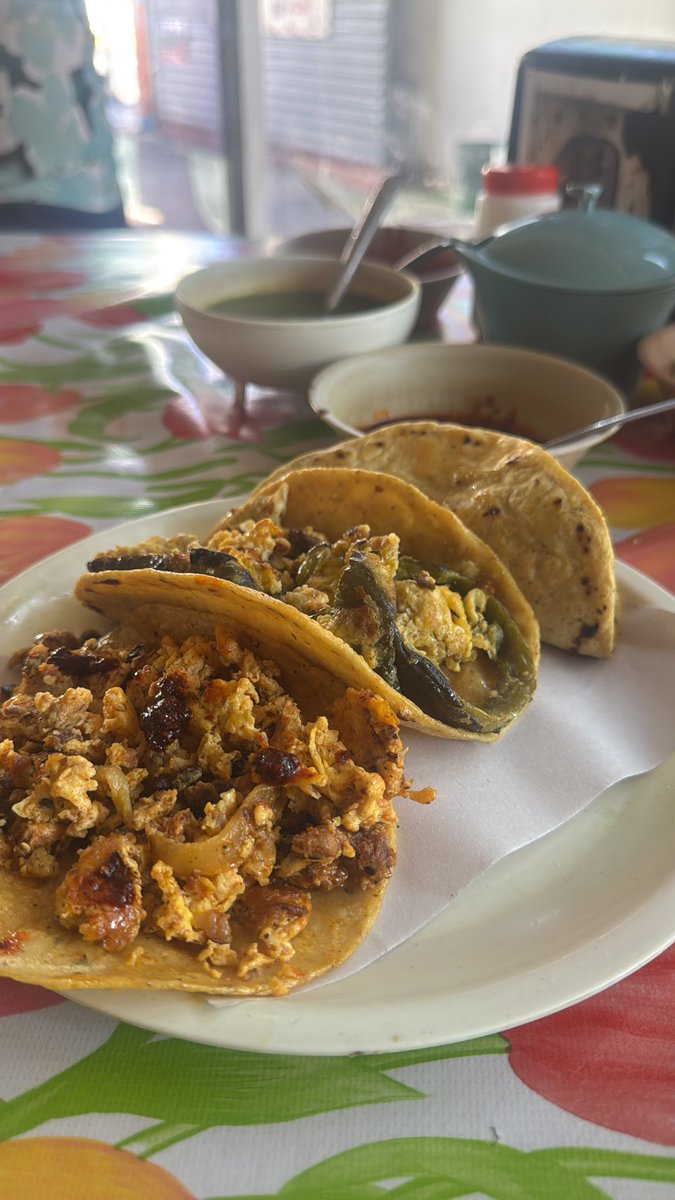 DondeOrizaba's tweet photo. Unos taquitos de guisado en Orizaba antiguo cerca del IMSS sobre la oriente 6 #comida #foodie #Orizaba #orizabapueblomagico https://t.co/rmmTpid91S