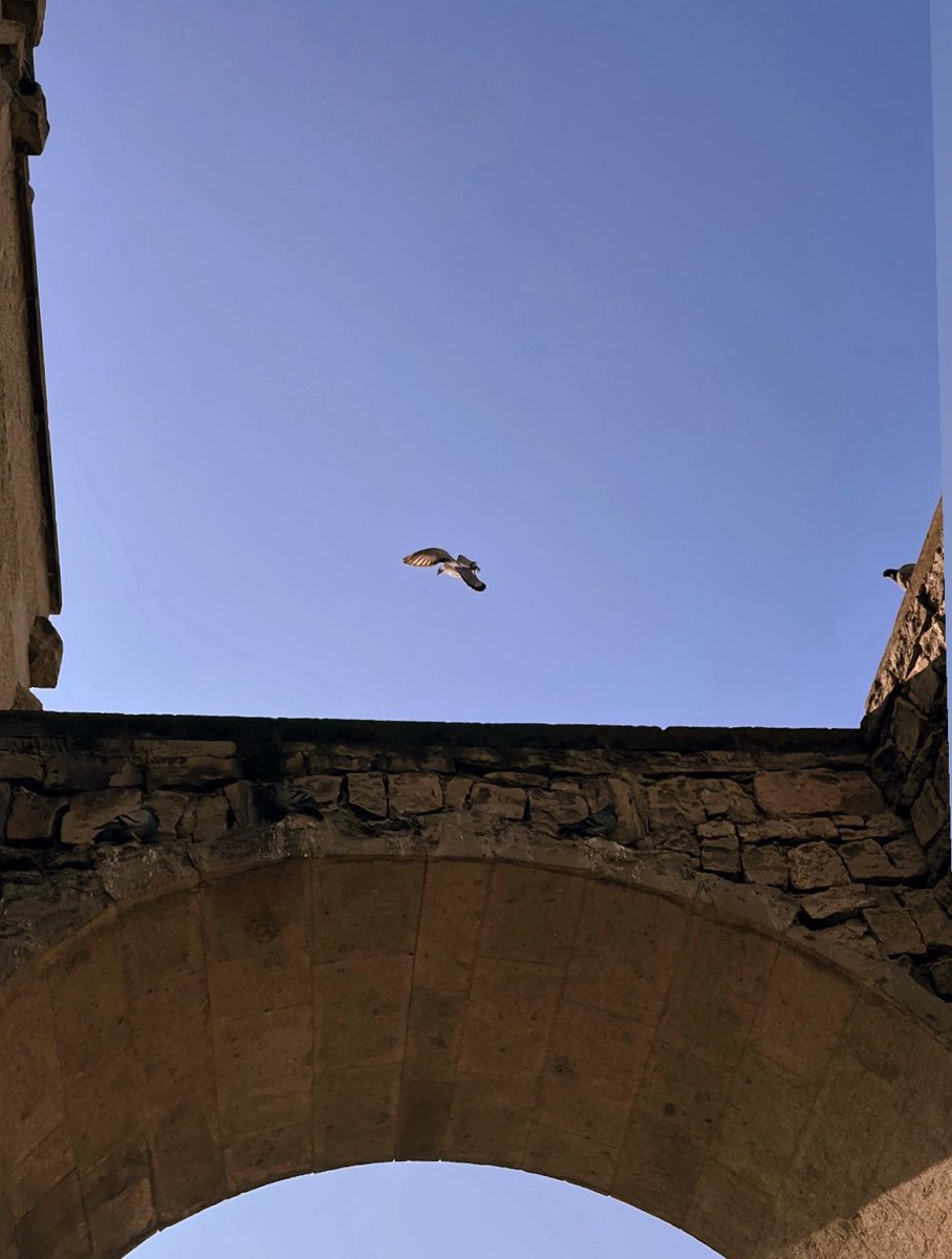 Belki üstümüzden bir kuş geçeeerr…