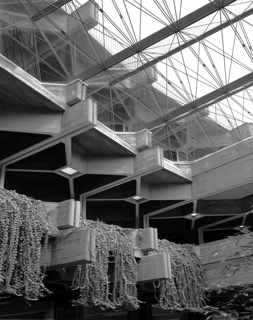 Fraisku Rguez tweet media