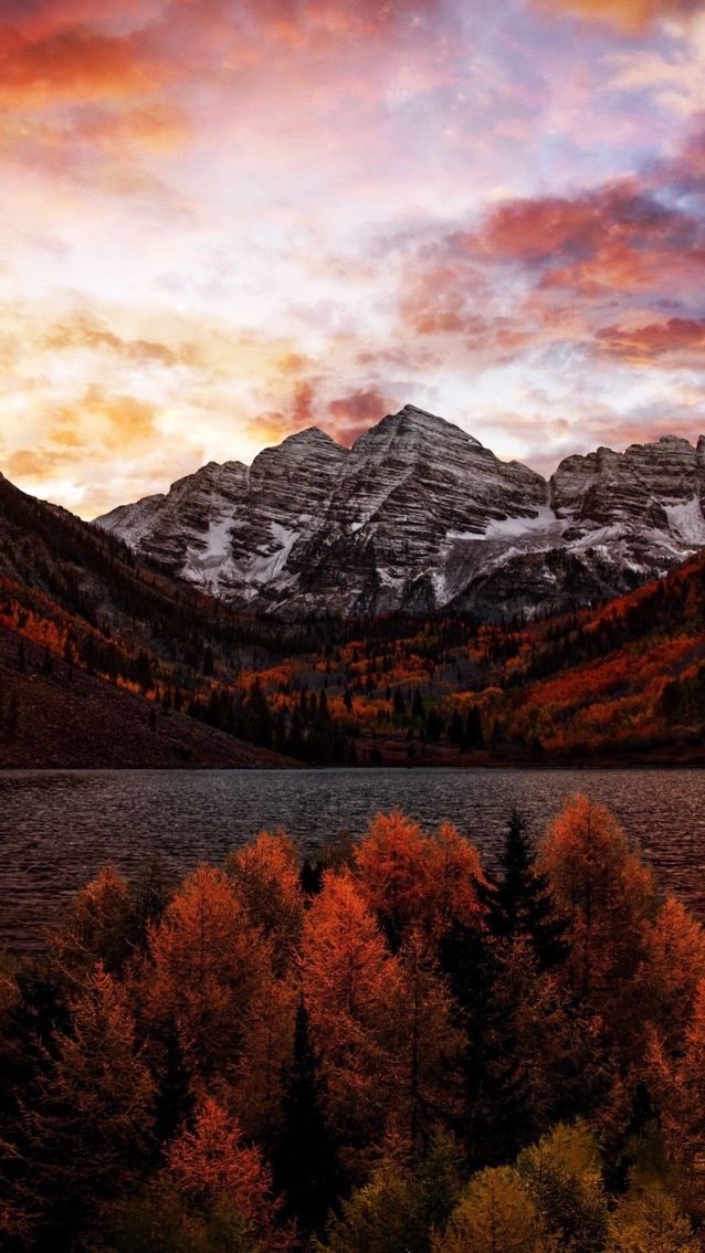 mshafqat72's tweet image. 💐💐So Beautiful and Colourful Flowers💐💐

#NaturePhotography #NatureBeauty #Beautiful #NatureLover #NatureScenery #Photography #NaturalBeauty #nature #autumn #naturelovers #beautifulflowers #happymood #happyflowers #flowers