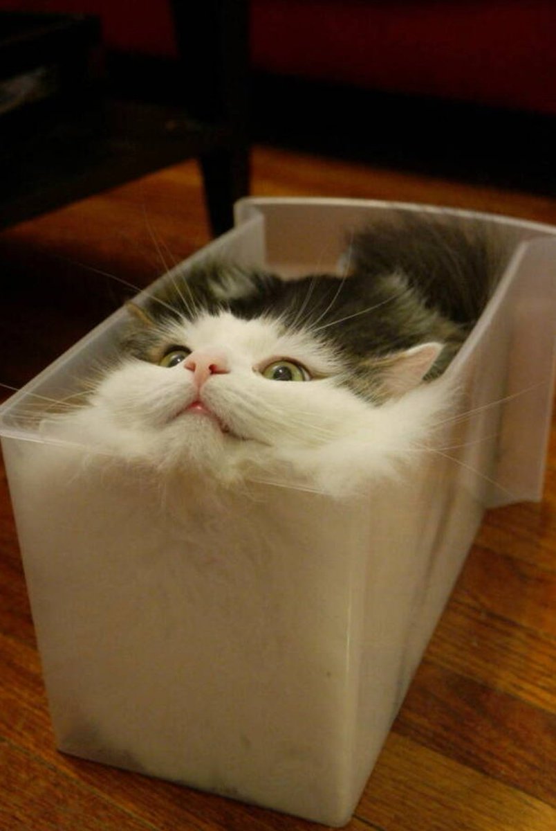 FabuloCath's tweet image. Huhu meine Liebies🥰!

Ich wünsche euch einen strukturierten Abend und später eine aufgeräumte Nacht😅!

Ordnung, so wichtig👇🏻!