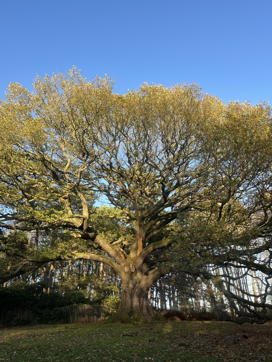 Charlotte Smith tweet media