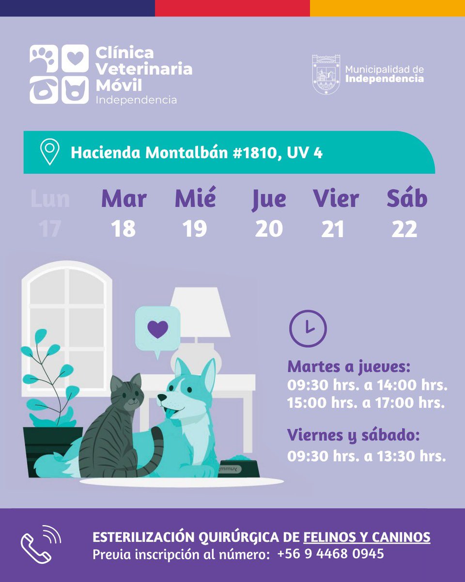 ¡La Veterinaria Móvil Municipal vuelve esta semana a tu barrio! 🐱🐶

📍 Hacienda Montalbán 1810, UV 4
🗓️ Del martes 18 al sábado 22 de noviembre

💉 Esterilización quirúrgica de felinos y caninos 
📞 Previa inscripción: +56 223699270 | +56 9 4468 0945