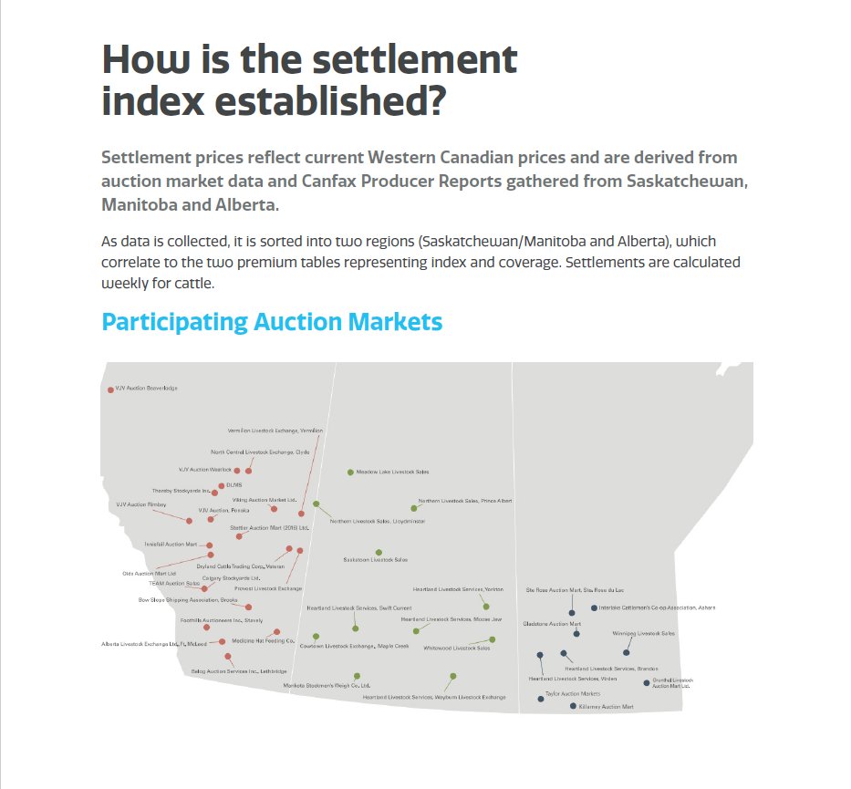 The settlement index reflects current Western Canadian prices, using data from auction markets and Canfax Producer Reports across SK, MB and AB. 

View our Settlement Guide to learn more: scic.ca/uploads/livest…

<a href="/SK_StockGrowers/">SK Stock Growers</a> <a href="/SKAgriculture/">Sask Agriculture</a> <a href="/SaskCattlemens/">Sask Beef</a> 
#SaskAg #SaskBeef