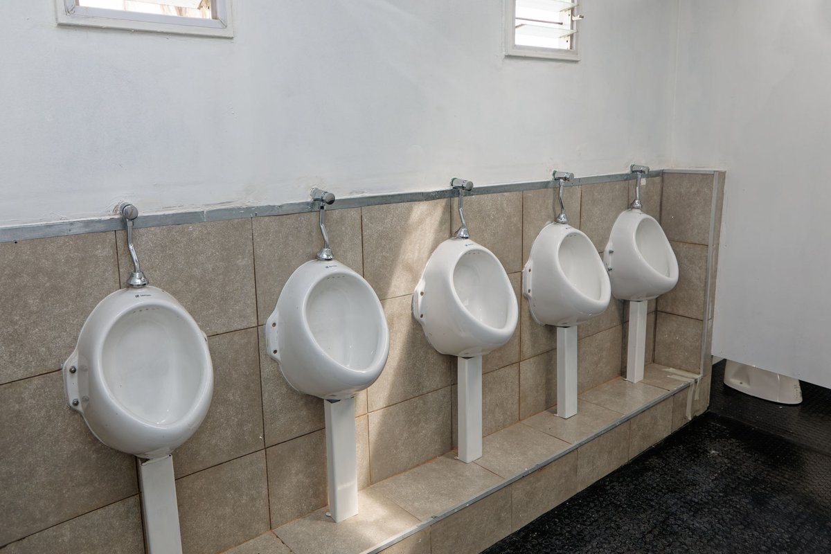 jjosemussi's tweet image. Nuevos baños y espacios de servicio para la Costa de Hudson.  

➡️ Continúa la instalación de 34 sanitarios nuevos. Con esta iniciativa, se busca mejorar la infraestructura y el confort de los vecinos y vecinas.

✅ Obra realizada con fondos municipales.

#Berazategui