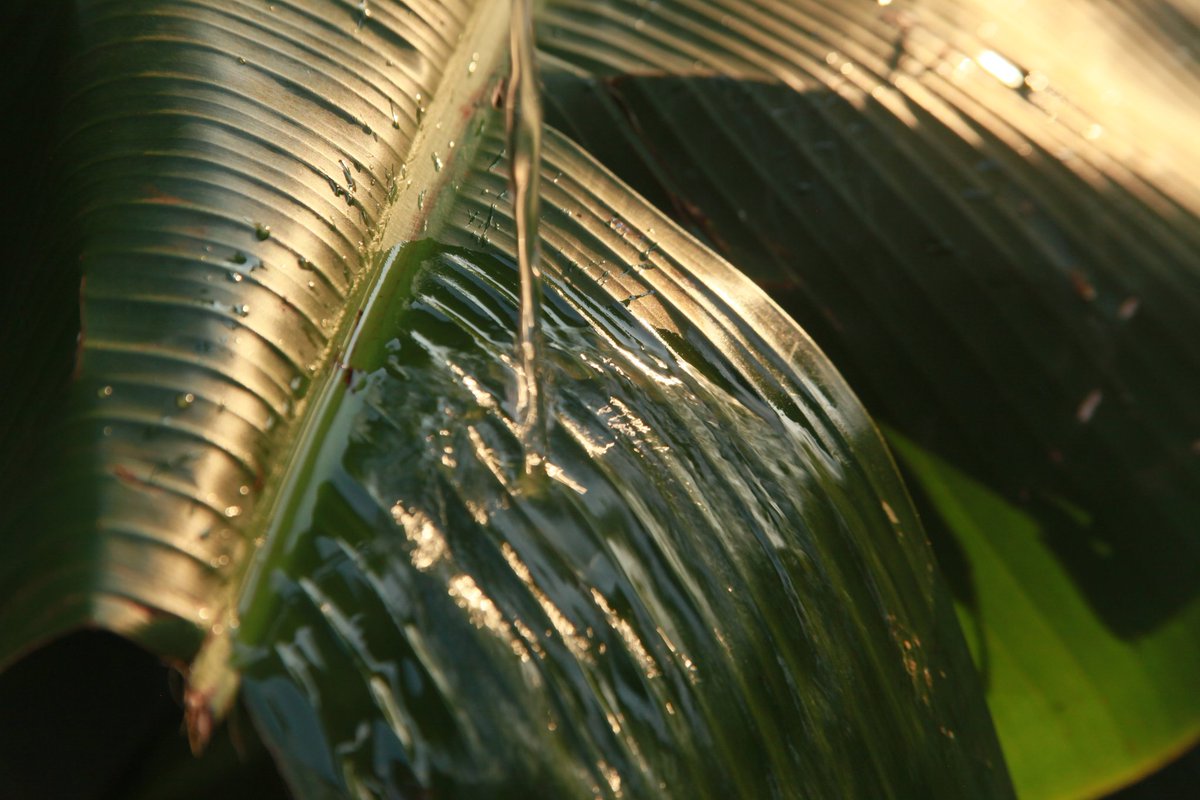 EmpowerHer256's tweet image. Freezing moments, one click at a time 📸 

#ShutterSpeed #PhotographyTraining #photograher #trainee #photo #empowerment #empowerher #girlskillingit