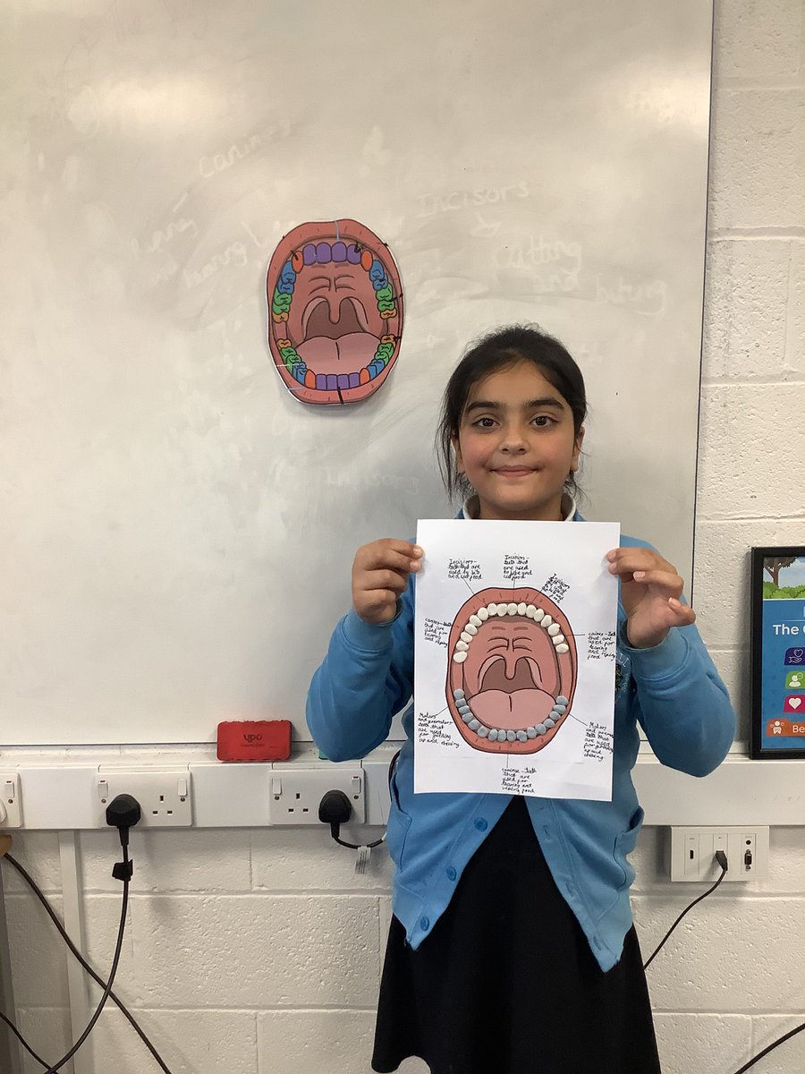 Gaskell Lower Key Stage 2 tweet media