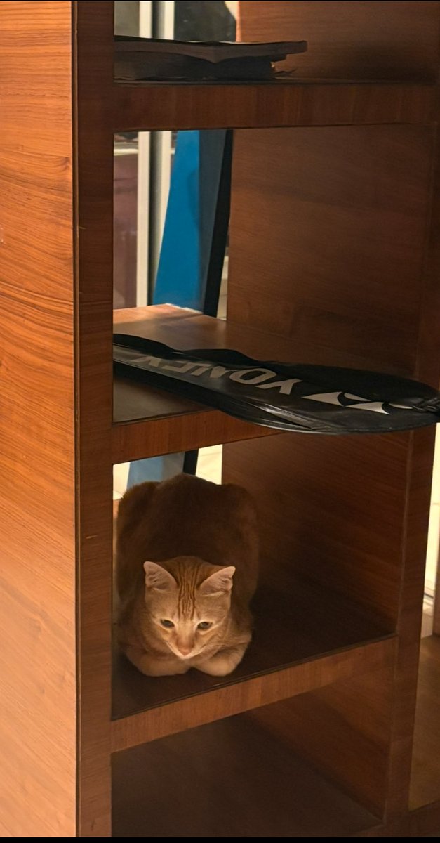 who_nisha's tweet image. When you are the dollest of the dolls, at the home you own 😂😂❤️
#RioVersion