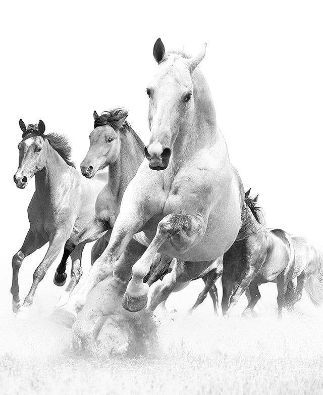 psl2_'s tweet image. ♡゙ ُ𓂁﷽
#بــــدايه🔥
بـدون اعلان ❓
@tbf1_ 
٩٩٨ ؏
@hame7 
٤٧٦؏ 
@frfwsh 
١٠٤ ؏
@6vlbe 
٢٤٣ ؏
@2J9Jl 
١٥٨ ؏ 
@Ilo7ilo 
٢٩٣ ؏
@oiopois 
١٧٧ ؏
@1saman1368 
٩٧٤؏
@plro 
٨٤٤ ؏
@4b8r_ 
٣٥٥ ؏
@mi8_0k 
٠٩٦
@88jjlli 
٠٤١ ؏
🐣@vib_b5 🐣
@drsurri1 
٥٧٥
@6yijl 
٤٣٤ 
 وياكـم مقــــدما 🌺