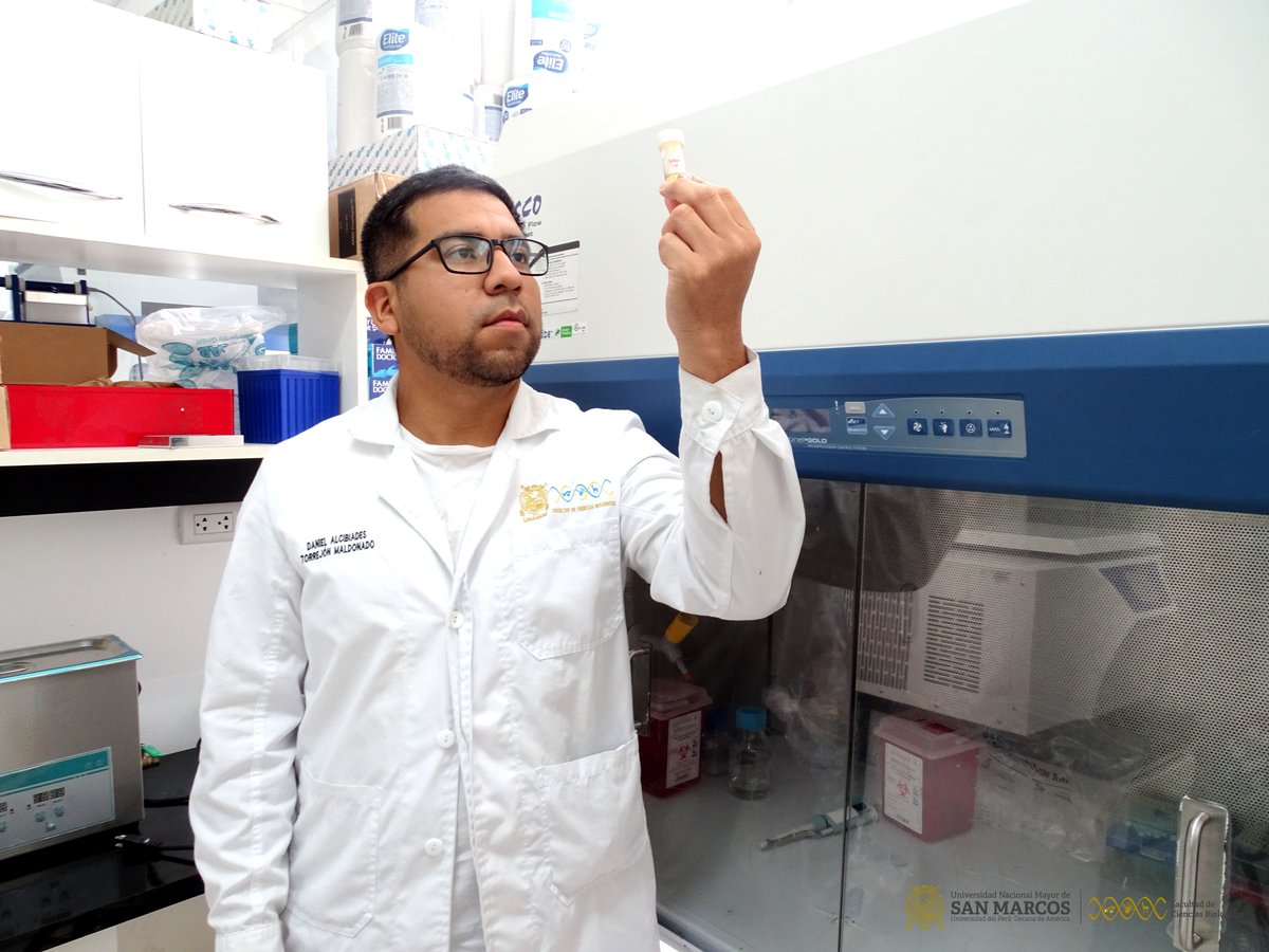 BioUNMSM's tweet image. 📢👨🏻‍🔬Estudiante de Doctorado de la Facultad de Ciencias Biológicas publica investigación sobre la capacidad inhibitoria de los antivenenos peruanos contra el veneno de serpientes de Sudamérica y otras partes del mundo 🐍

👉Leer la nota completa: biologia.unmsm.edu.pe/noticias/estud…