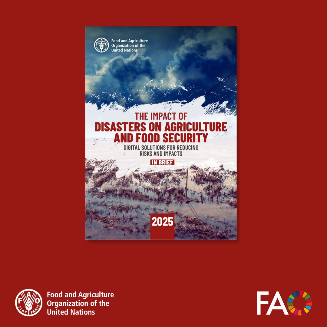 niyo_charles's tweet photo. As disasters become more common and severe, pressure on agriculture and food security is increasing. In addition to highlighting gaps in current impact assessments, particularly for vulnerable groups, the report demonstrates how these events disrupt markets, livestock, crops, and fisheries.

Additionally, it emphasizes how digital tools, from mobile advisories and predictive analytics to satellites and artificial intelligence, are changing disaster risk management by facilitating early warnings and preventative measures. However, it emphasizes that in order to guarantee that smallholder farmers and communities at risk actually benefit, technology must be combined with robust institutions, encouraging laws, and inclusive design.

Cc: @FAO 

👉https://t.co/WukZs3xS07

#DisasterRiskReduction