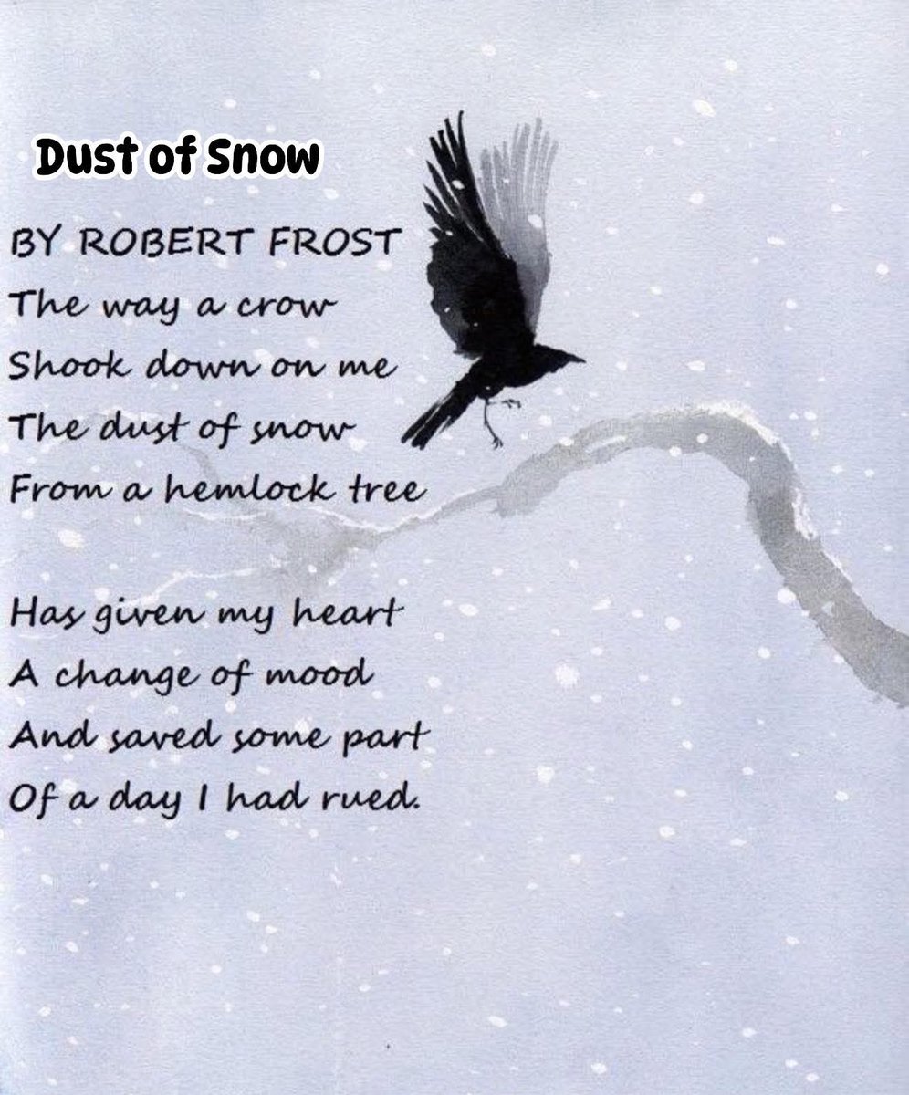 allaboutcrows's tweet image. 