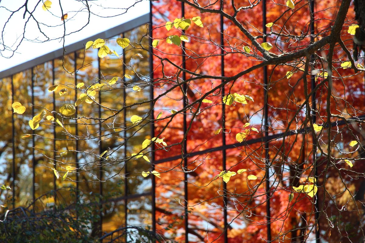 Cedar Crest College tweet media