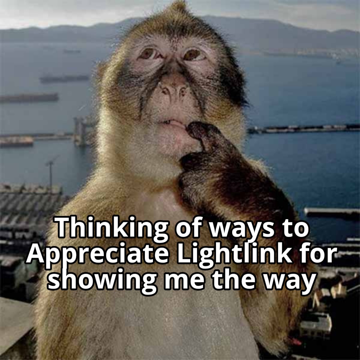 HellenD88797's tweet image. Hey guys!
I&apos;ve really learnt a lot since I joined Lightlink. Much love 💕
@LightLinkChain $LL
#discoverpossible