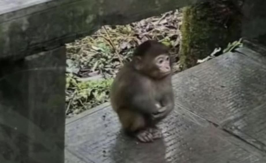 ders çalışmam gerekiyor