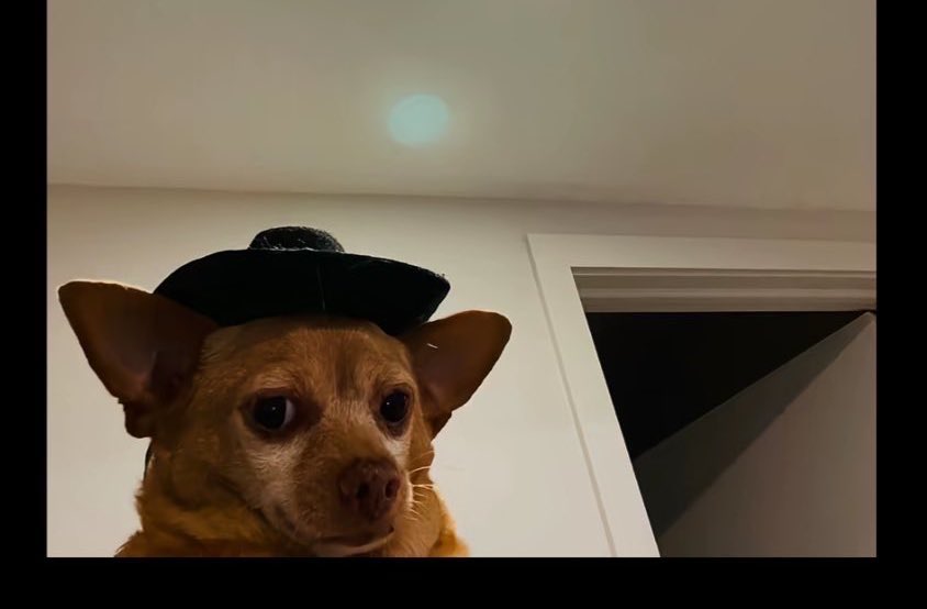 Datboycfc's tweet image. 