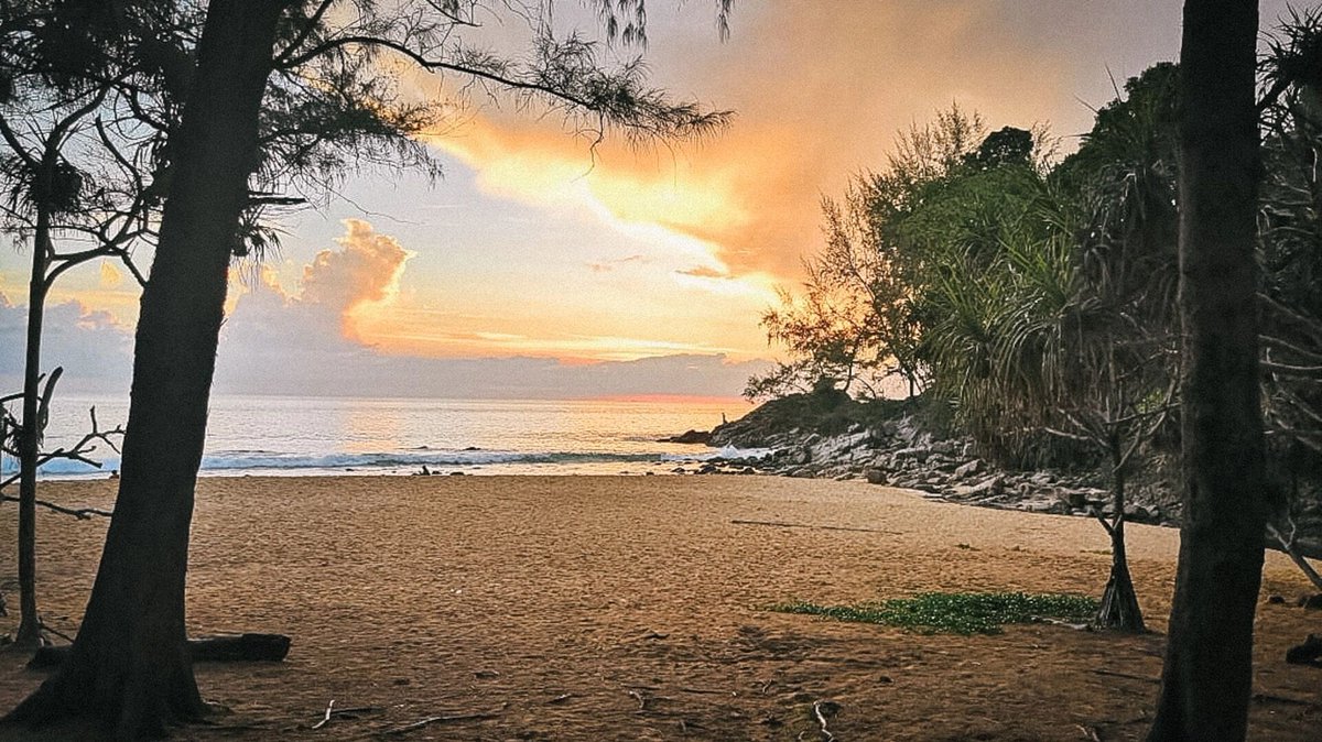 Красноярцы в ноябре могут отдохнуть за границей за 50 тысяч 
prmira.ru/news/2025-11-1…