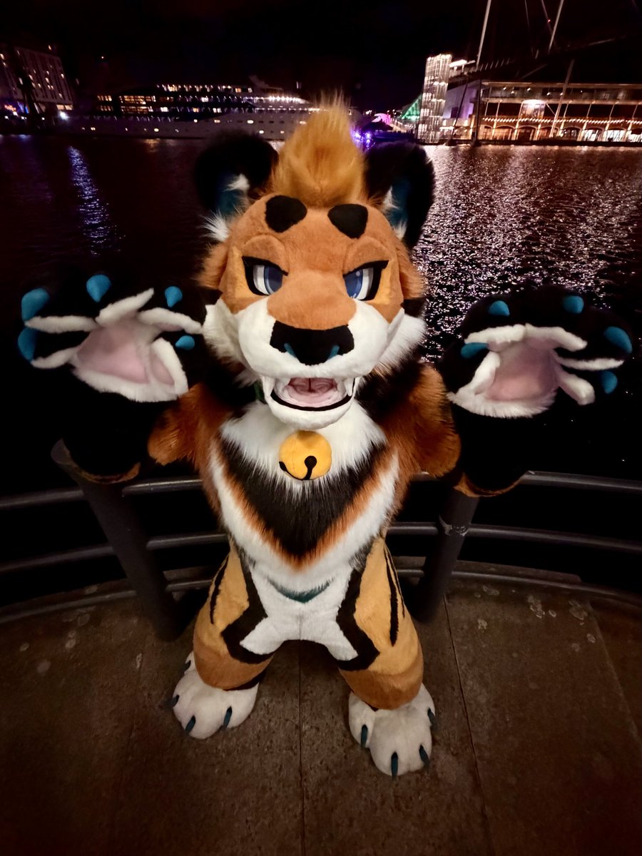 Awh beans, my boy is away, who’s gonna pet this kitty 🥲