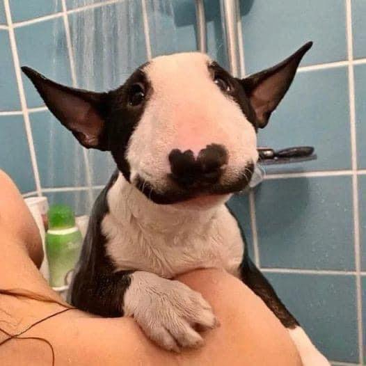 My mom said I'm beautiful. But so far nobody has loved my picture 💋