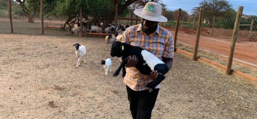 Wamutahi (@son_of_laikipia) on Twitter photo 