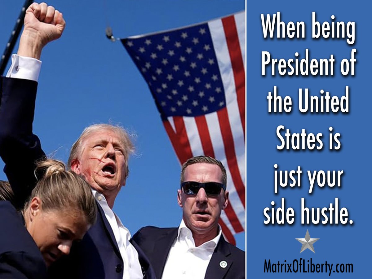 matrixofliberty's tweet image. Like a #boss. 😂