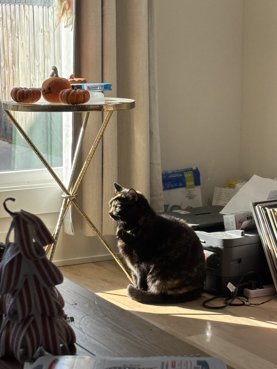 babiebabka's tweet image. son shiney