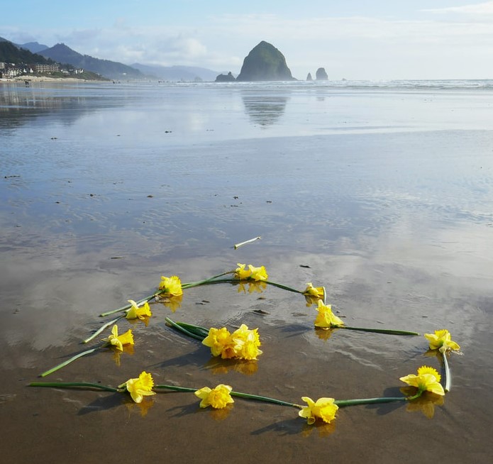 YourALSguide's tweet image. Respite care can help #ALS family caregivers avoid burnout by providing much-needed breaks. Depending on your local resources and support network, you may be able to find caregiving help at no cost. Learn more at youralsguide.com/respite-care #NationalFamilyCaregiversMonth