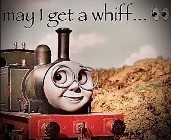 You think you the steam bitch? You not even the Puff