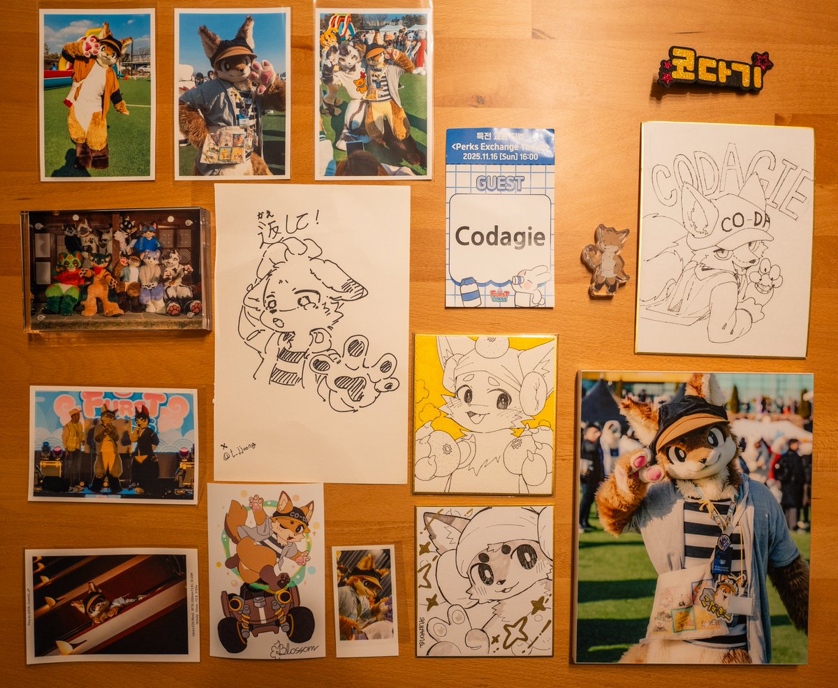 codagie124's tweet image. 韓国の釜山から無事帰ってきましたー！
ファーストクラス、本当に楽しかったぁぁ！！
サポートしてくださったみなさんに心から感謝です！
おかげさまで最高にいい思い出がいっぱいできたし、さらに韓国が好きになったよー！
プレゼント・差し入れなどもたくさんありがとね！
#FURSTCLASS