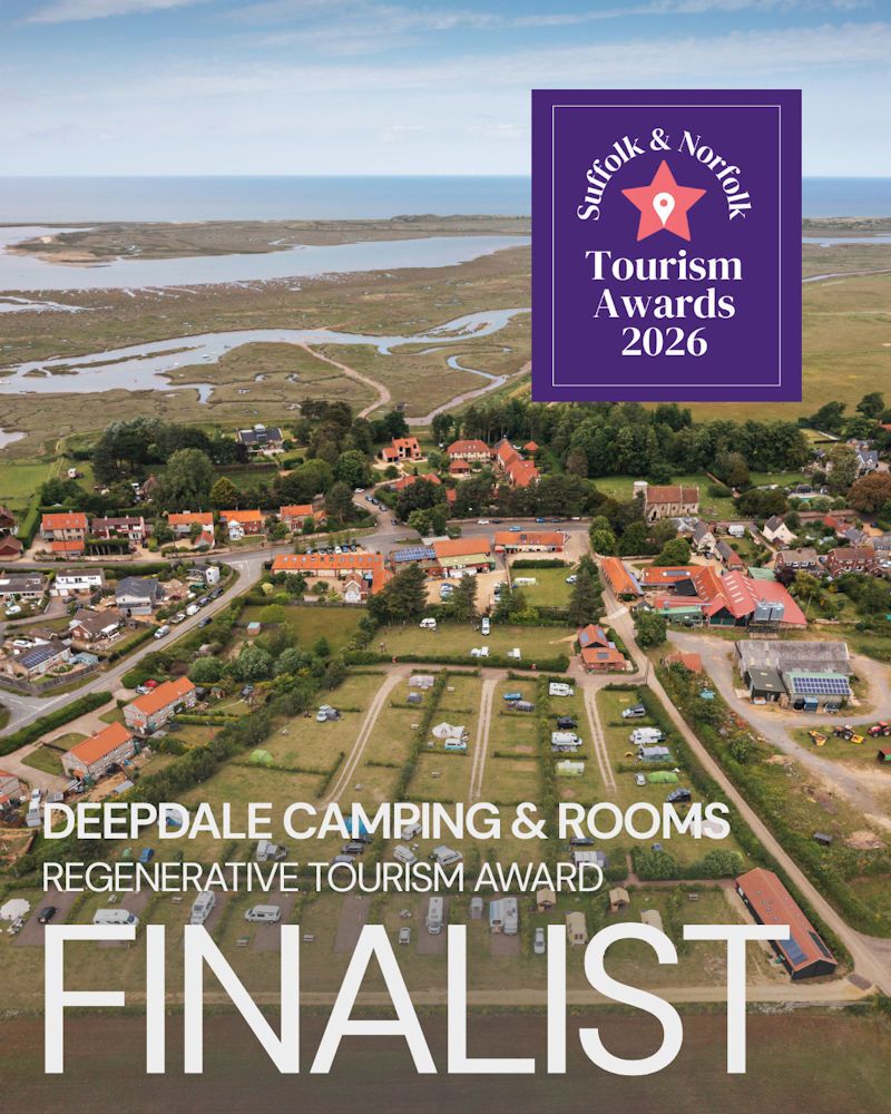 NEWS

More info: deepdalecamping.co.uk/tales/regenera…

#lovenorthnorfolk #lovewestnorfolk #norfolkcoast #northnorfolk