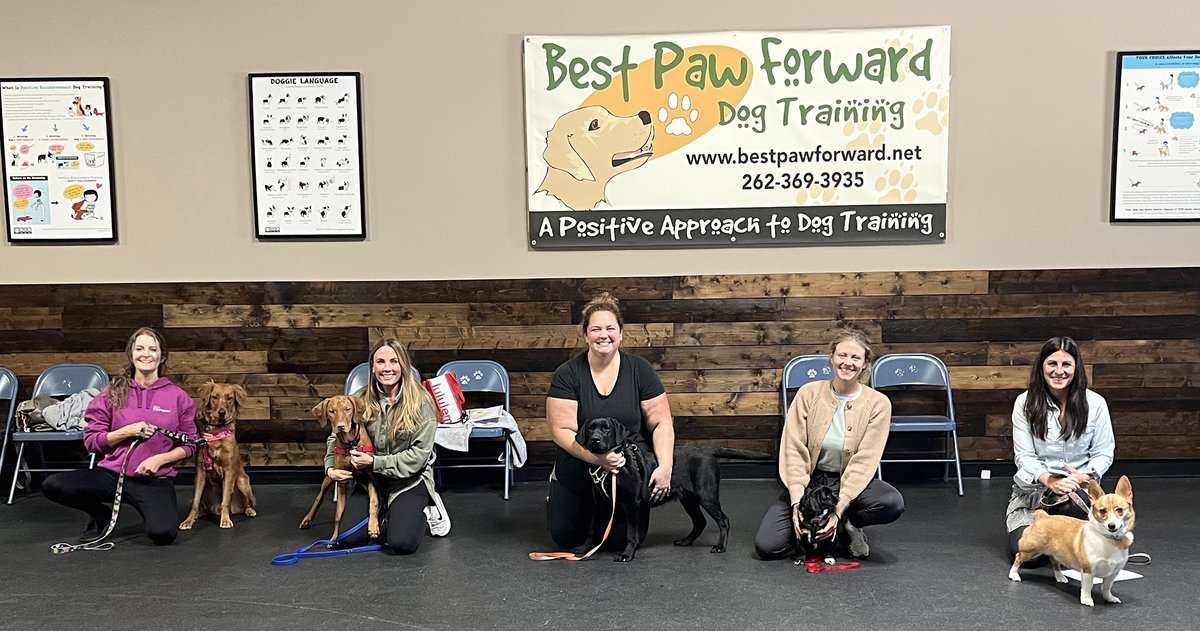 bestpawforwardw's tweet image. Congrats #BasicManners grads! These teams made incredible strides in building their relationship, improving their communication skills and in learning how to teach their pups basic skills. 
#GradPhotos #Dogs #RewardBasedDogTraining #DogBehavior #NeighborhoodFaves #TopChoiceWinner