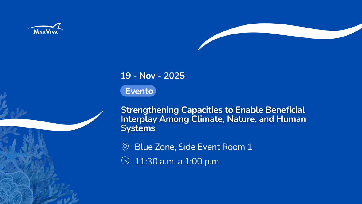 En la COP30, MarViva hace presencia a través de su directora, quien participa en espacios de negociación donde se discuten las acciones que influirán en el futuro del océano. Su participación refleja el compromiso de la organización por el fortalecimiento de la protección marina.