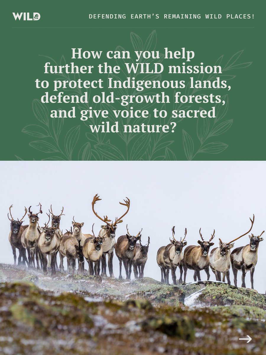 WILD Foundation tweet media