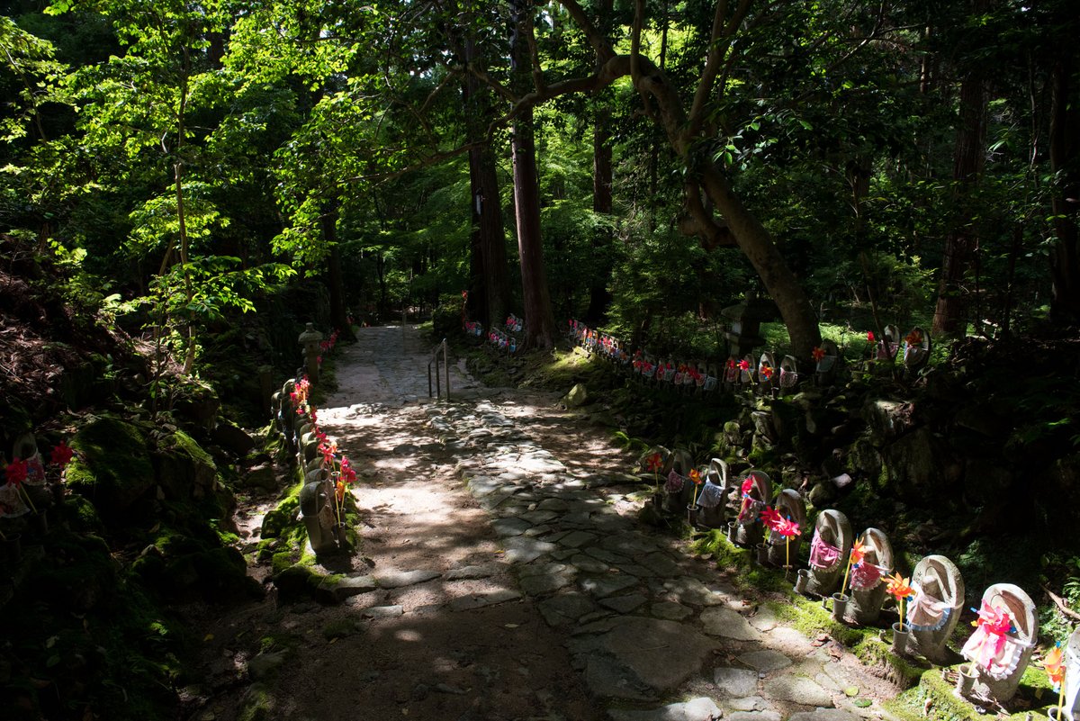 Kongōrin-ji et son armée de Jizō 🏯✨ Un lieu magique entre trésors anciens, jardins classés et érables aux couleurs envoûtantes 🍁 japonsecret.fr/kongorin-ji-sa…