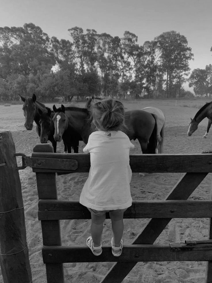 disenchnted_'s tweet image. (✫) Update on FilmAchives.𝗻𝗲𝘁
 al𝖾x&apos;s 𝗣𝗁𝗈𝗍𝗈𝖦𝖺𝗅𝗅𝖾𝗋𝗒 𐚁 ˒ #caption ❛ teníamos dos semanas de conocernos cuando me dijo &quot;nos vamos a casar, quiero tener tres vacas y 5 gallinas&quot; y ahora aquí estamos...