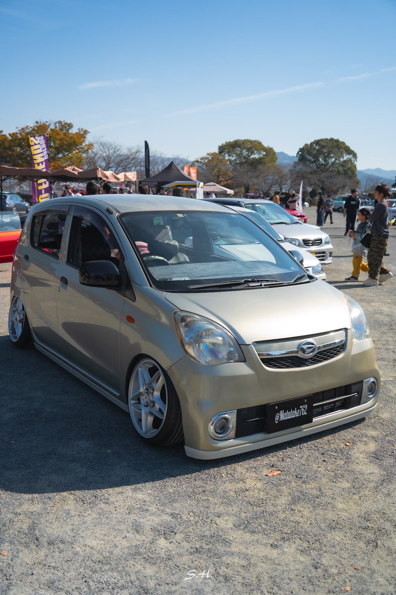 松茸君762号 tweet media