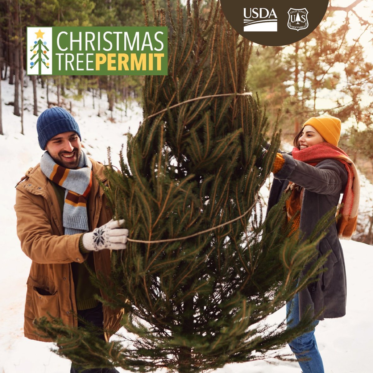 Dakota Prairie Grasslands tweet media