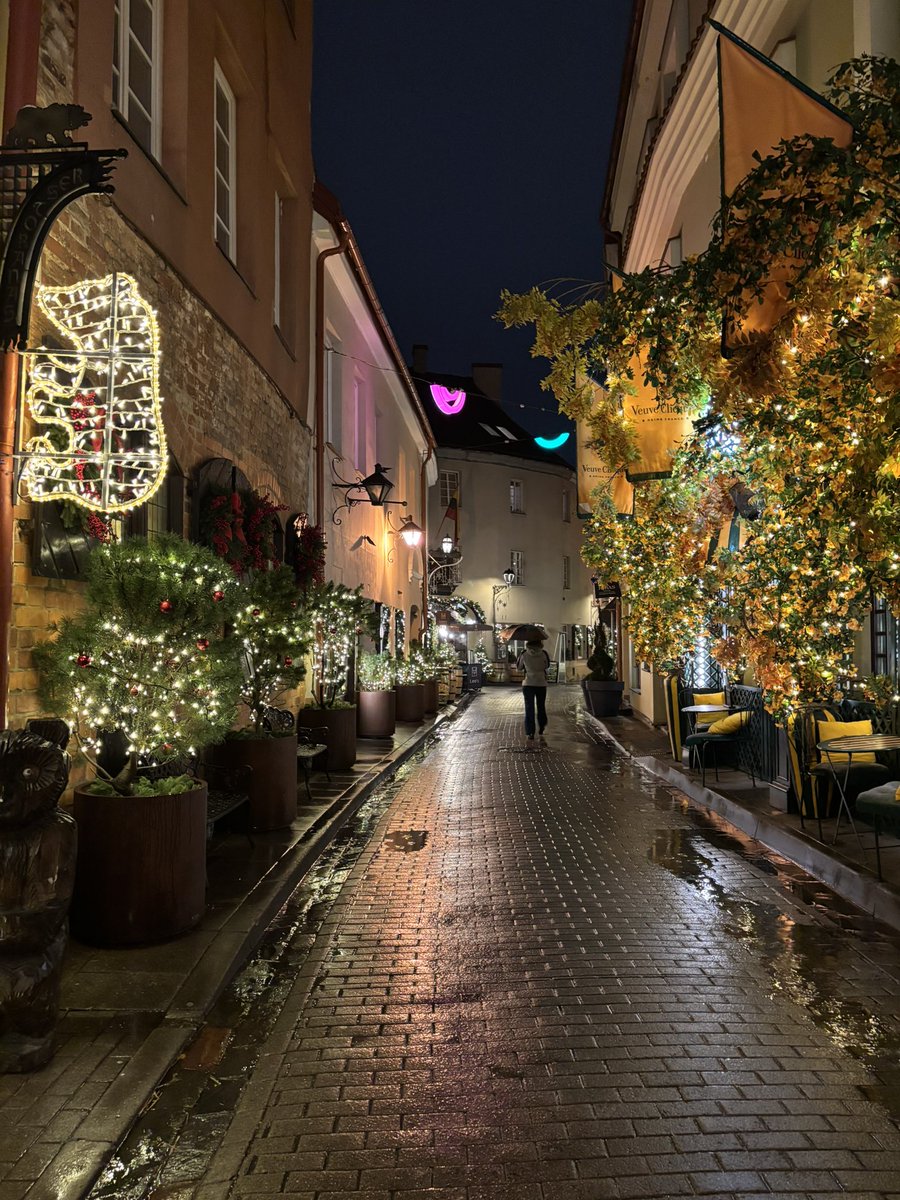 ArkadyRzegocki's tweet image. A tymczasem w Wilnie już można poczuć świąteczną atmosferę 🎄✨#wilno #vilnius