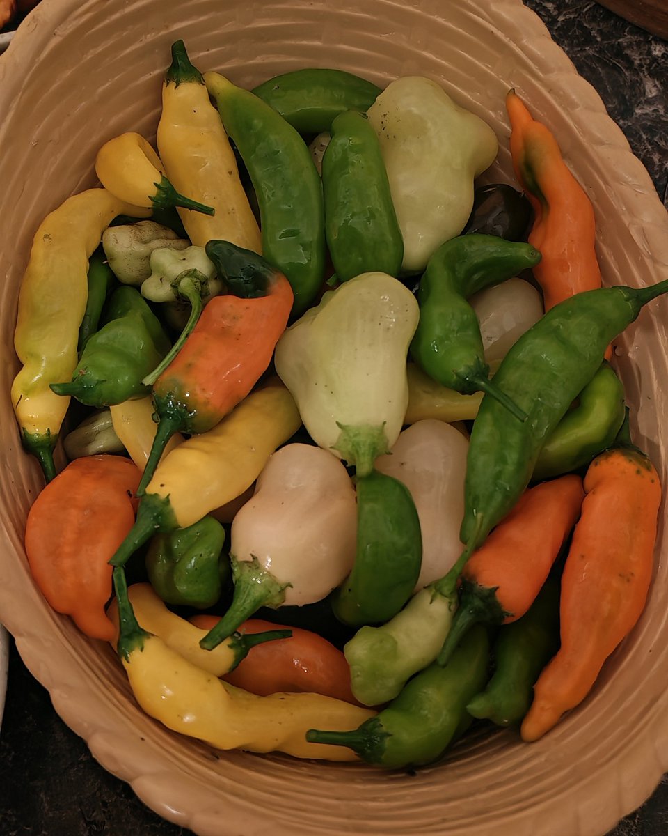 Foodyman 🌶️ tweet media