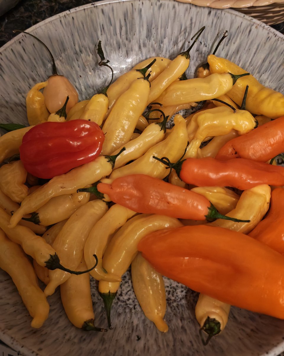 Foodyman 🌶️ tweet media