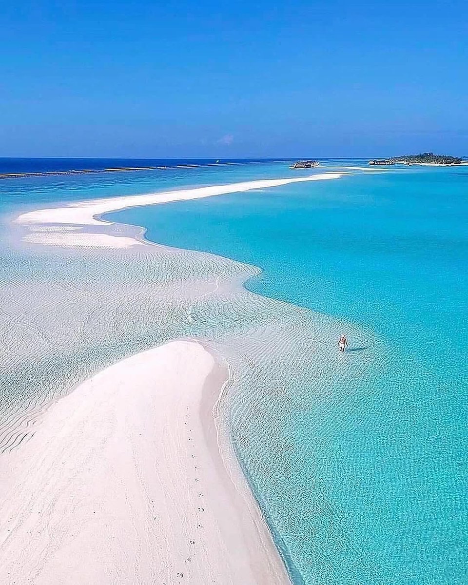 Mysterious Earth (@naturalble91542) on Twitter photo 