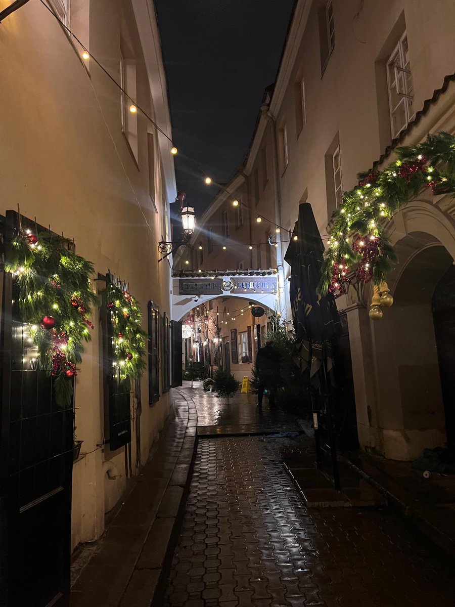 ArkadyRzegocki's tweet image. Meanwhile, in Vilnius you can already feel the Christmas atmosphere: 🇵🇱🤝🇱🇹
#vilnius #wilno
