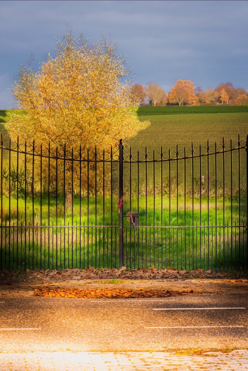 magnifiekZL's tweet image. Herfst compositie aan de Wittemer Allee (in Wittem) #MagnifiekZL
📸: Ton Kleijnen - Facebook