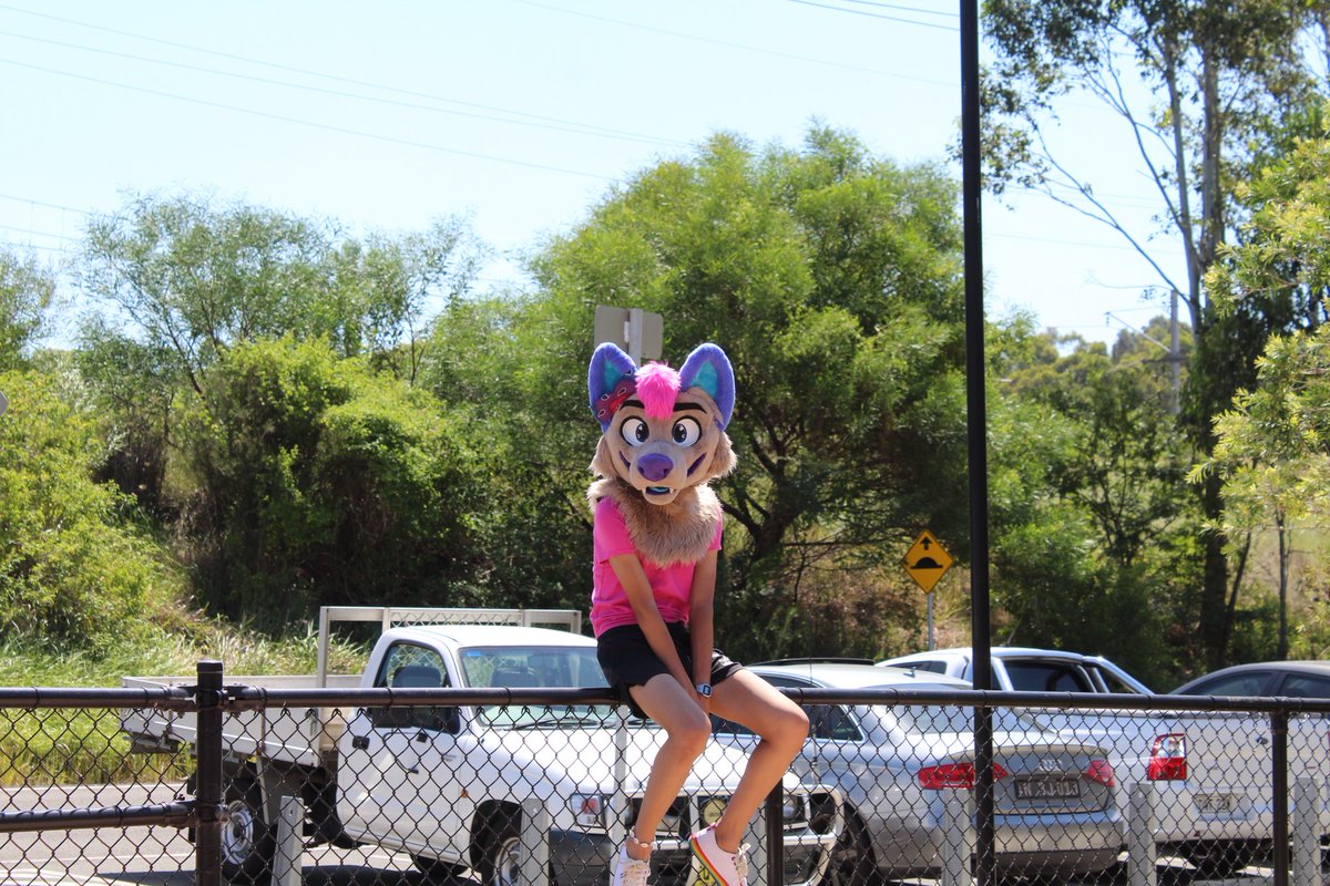 Uhhhh a few s2s ago now... Enjoy :3
(I finally emptied my SD card, let's hope i get back into photography 🙏)