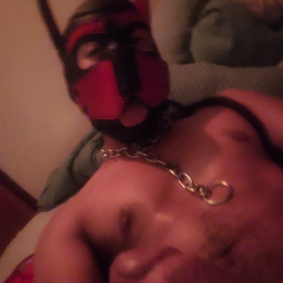 pup_dread's tweet photo. Horny af https://t.co/4uURJb3bUy