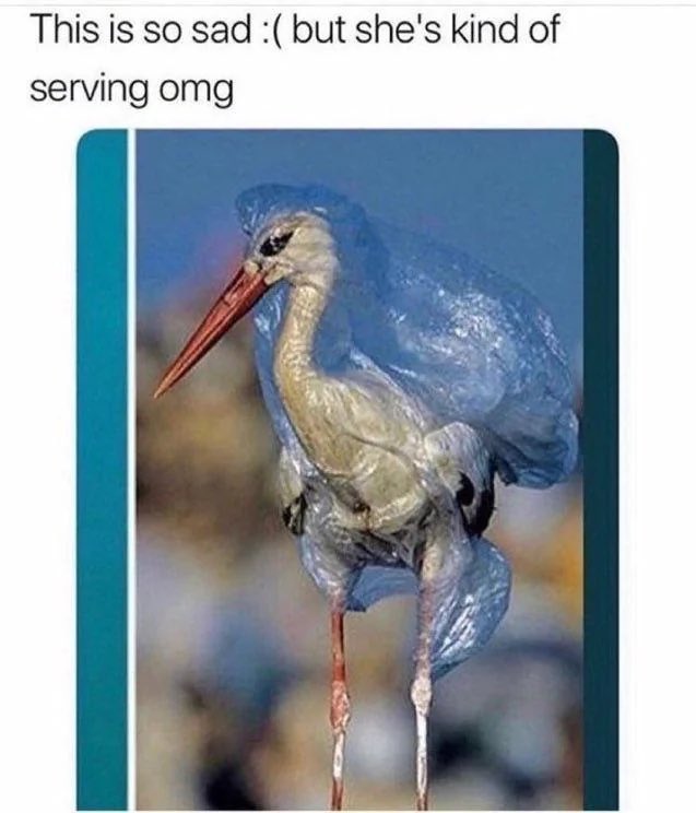 problem__woman's tweet image. 