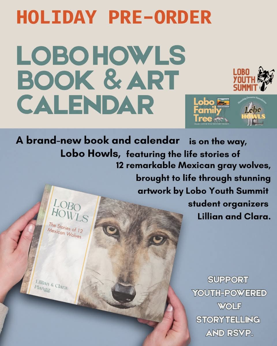 GC Wolf Recovery tweet media