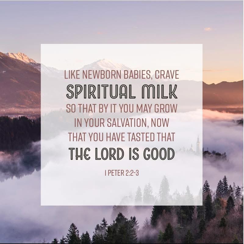 JimSuttle5's tweet image. Desire the Bible that you may grow!

Spiritual growth comes through the Word of God, and we can grow in what God has for us through the Bible!!!

Desire the Bible the way a baby desires milk.

Have you tasted how good God is, how good His word is…remember it…and crave it again
