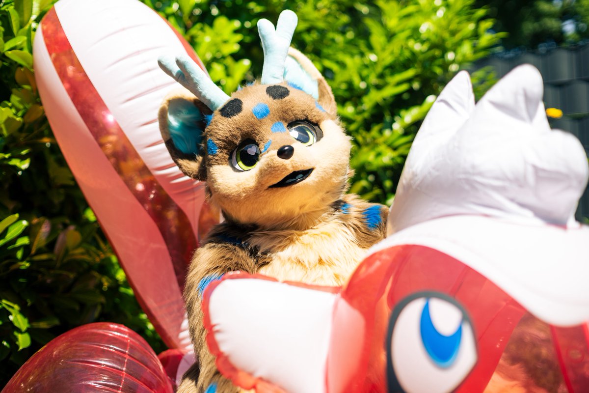 fuchsrehchen's tweet image. Weather getting so cold recently 🥶 I can’t wait enough for the Spring and Warmer Temperatures again 😅 In the meantime have some Summer Pictures with my Skunk Friend 😋