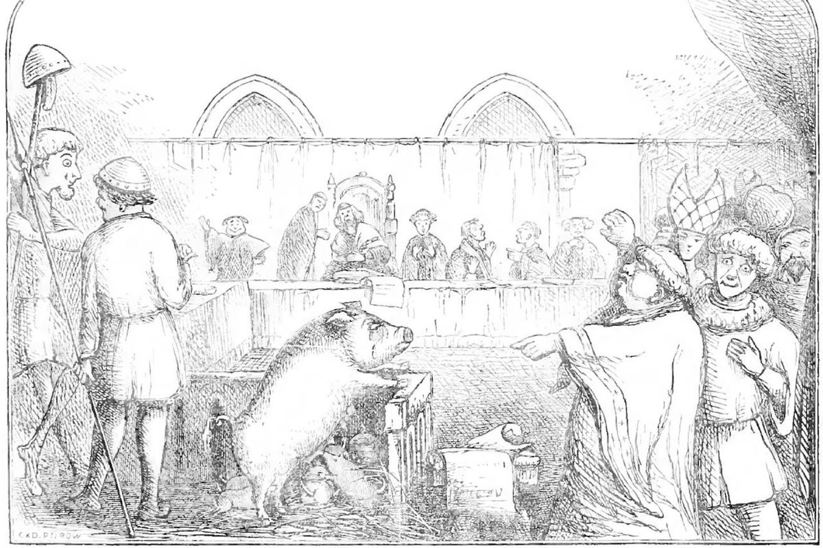 warensammlung's tweet image. so fühlt es sich an Student zu sein